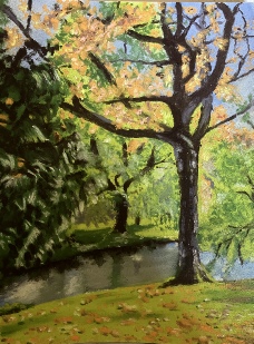 Autumn Trees