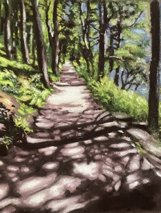 Woodland Walk