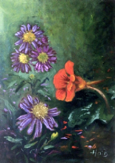 Nasturtium & Asters
